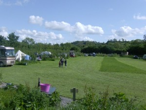 The Camping Field