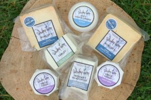 Selection of Wookey Farm Cheese